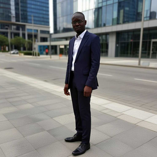 Alphonce l. profile photo
