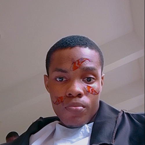 Emmy E. profile photo