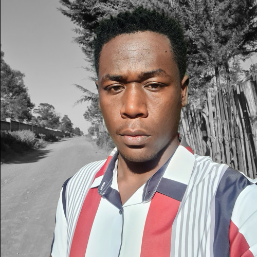 Amo B. profile photo