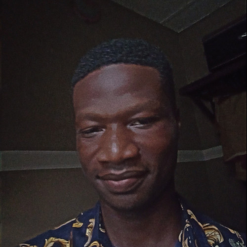 Kingsley C. profile photo