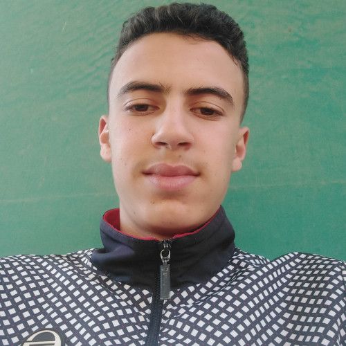 Nasr eddin D.