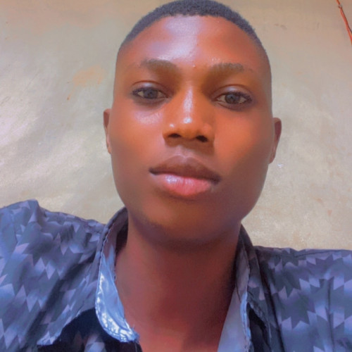Kolawole T. profile photo