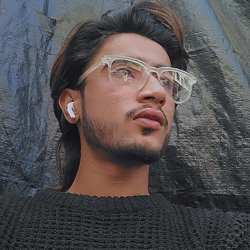 Tanveer  S. profile photo