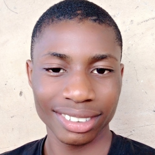 Adewole  O. profile photo