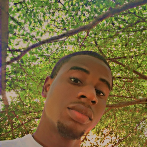 Nnam  P. profile photo