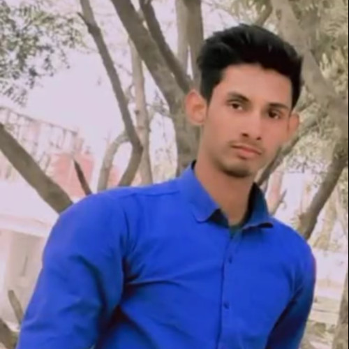 Alok V. profile photo