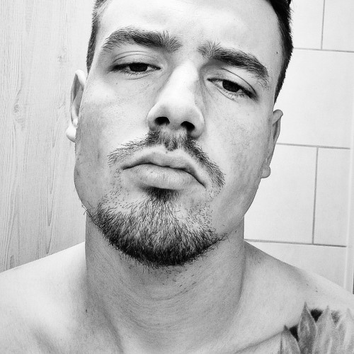 Balazs N. profile photo
