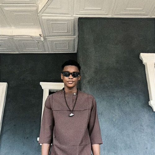 Nwabuisi munachim D. profile photo
