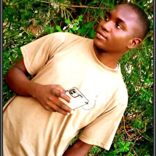 Kelvin n. profile photo