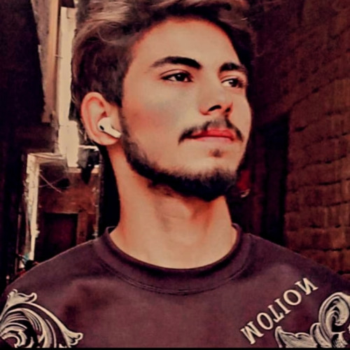 Arslan K.