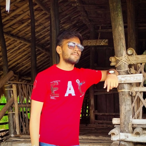 Shubhang S.