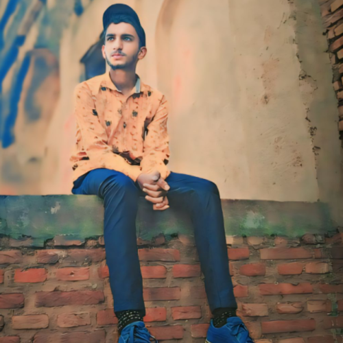 Shahzaib  M. profile photo