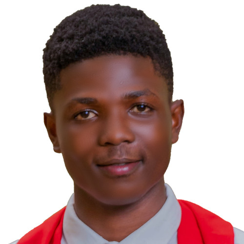 Emmanuel Selasie A. profile photo