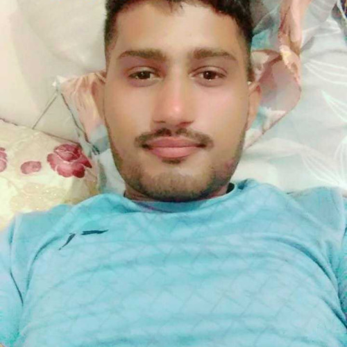 Shivam Tomar t. profile photo