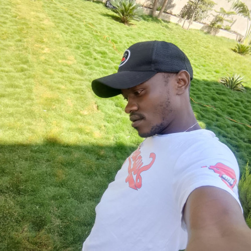 Dennis K. profile photo