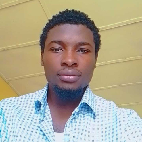 ilesanmi J.