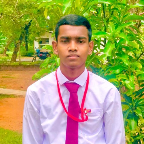 Thathsara P. profile photo