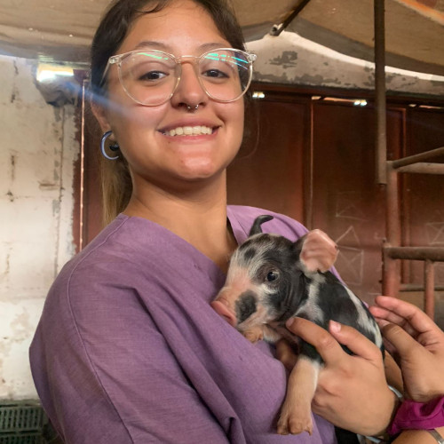 Eylem H. profile photo
