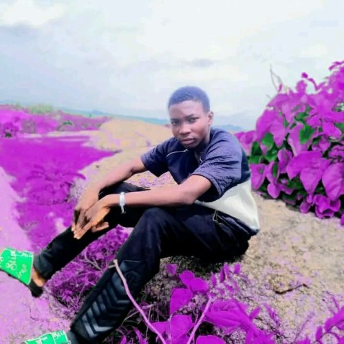 Femi  D. profile photo