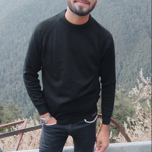 Ashish R. profile photo