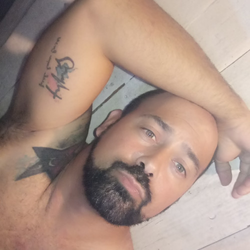 Bear B. profile photo