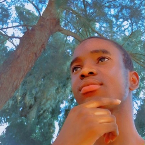 Sulaiman  O. profile photo