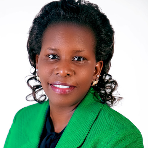 Lynn O. profile photo