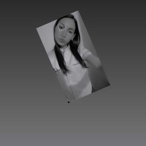 pamela v.