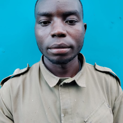 Sessi M. profile photo