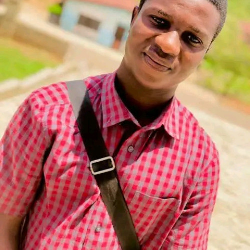 Ayodeji W. profile photo