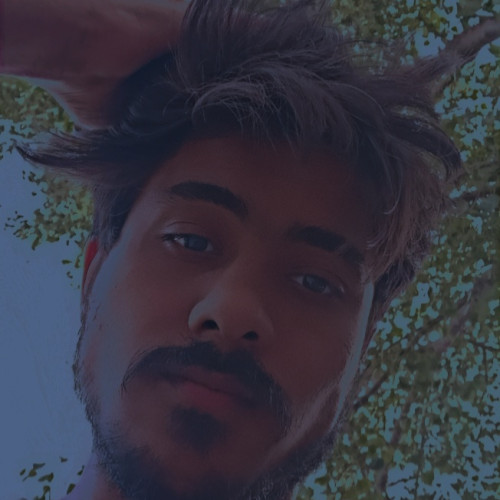 Ali H. profile photo