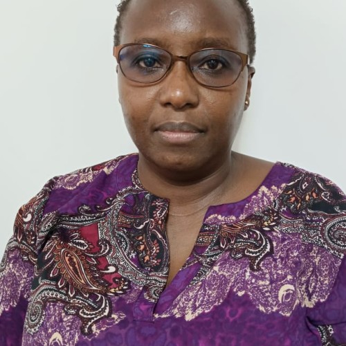 Ann  N.