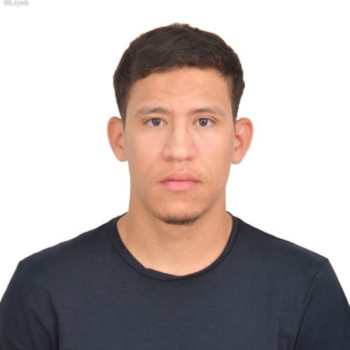 ayoub k.