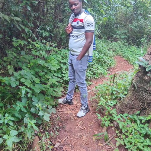 Kelvin  K. profile photo