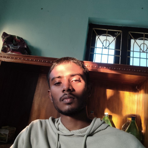 Krishna Koushik K. profile photo