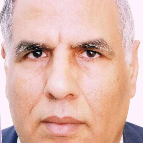 Hedi L. profile photo