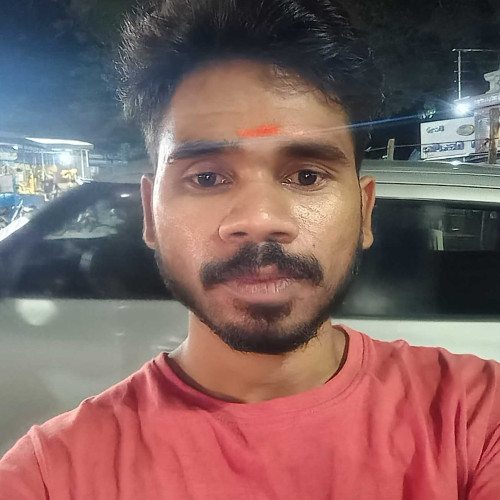 paramananda n. profile photo