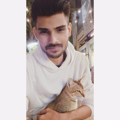 Dennis D. profile photo