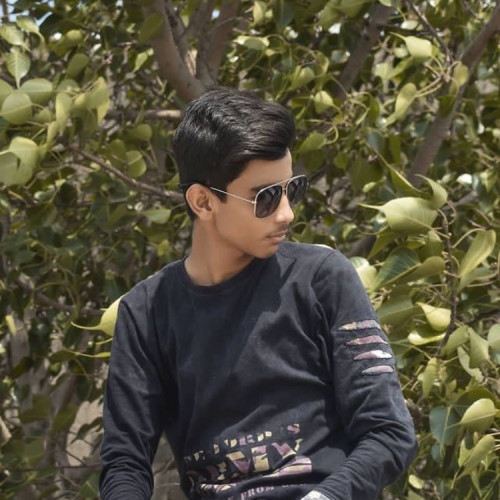 Shaikh T. profile photo
