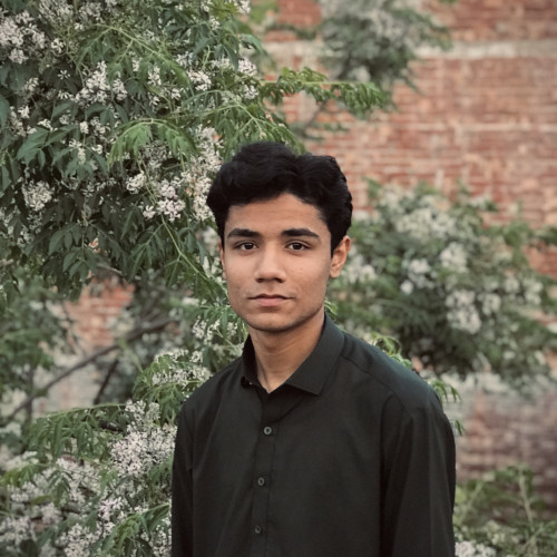 Ali H.