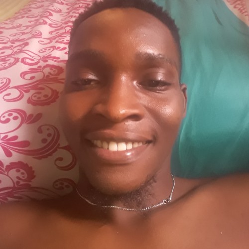 Peter O. profile photo
