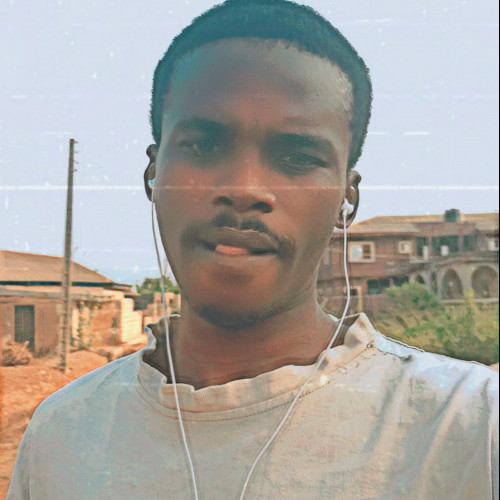 Alimi S.