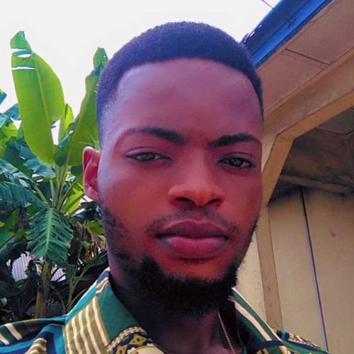 Ifeanyi E. profile photo