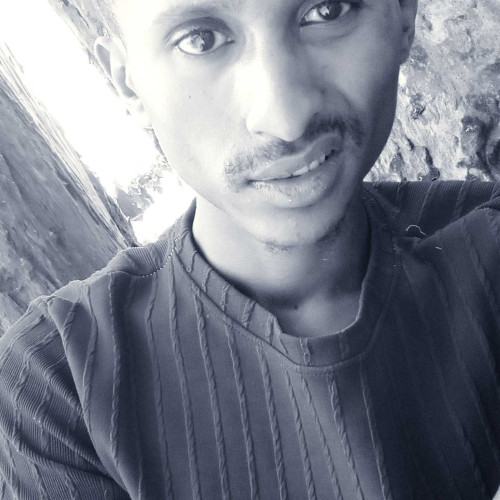 mubarek k.