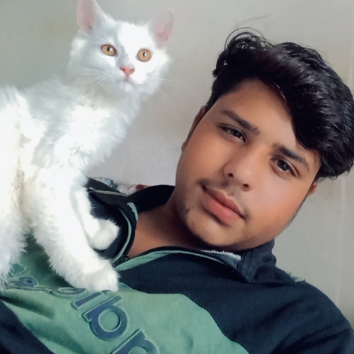 Rehan K. profile photo