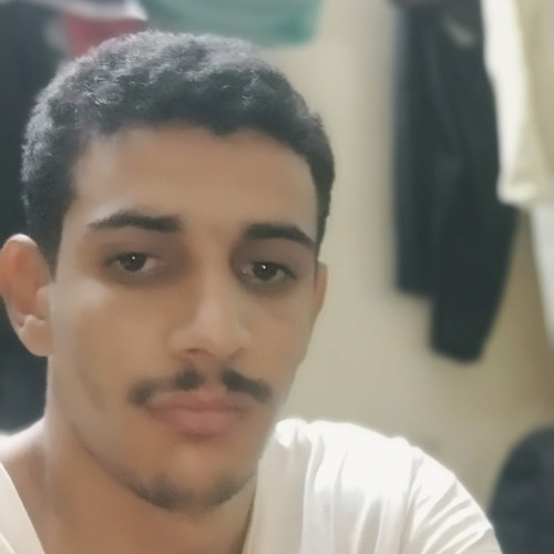 Mohammad  H.