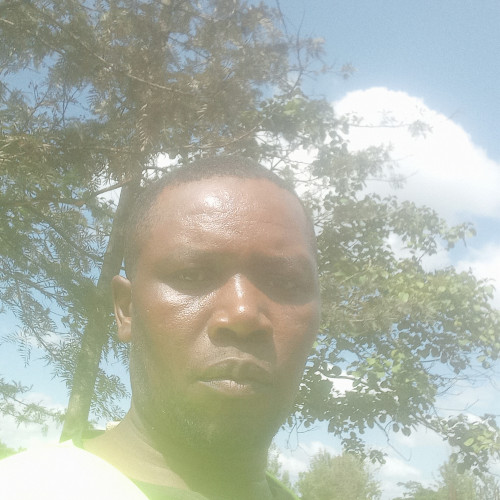 Peter M. profile photo
