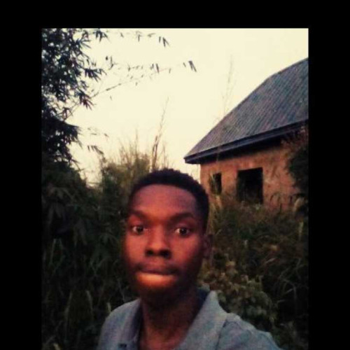 Nasho C. profile photo
