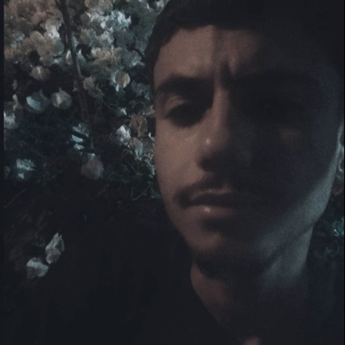 Yassir y. profile photo