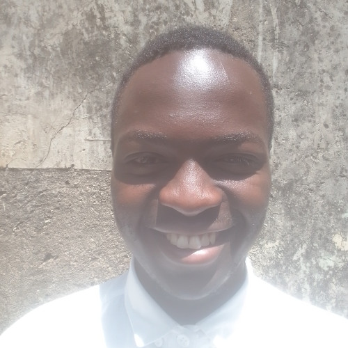 LIVINGSTONE N. profile photo
